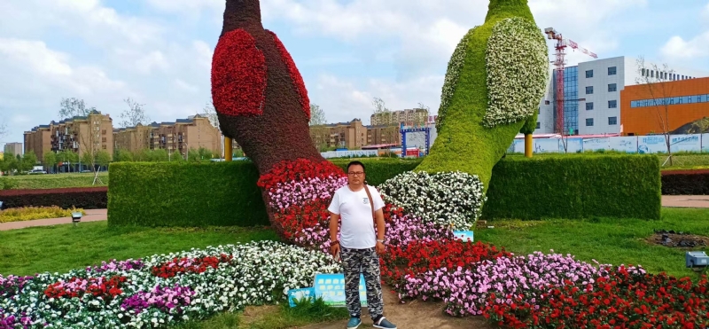 尘埃的第一张照片--九江相亲服务中心