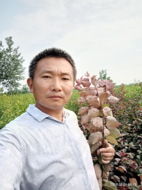 孩子爸的第一张照片--九江相亲服务中心