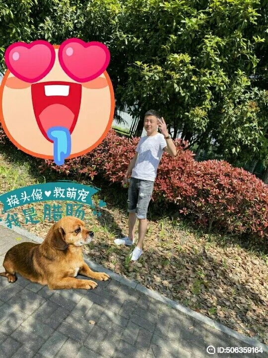 我若不坚强谁替我勇敢的第五张照片--九江相亲服务中心