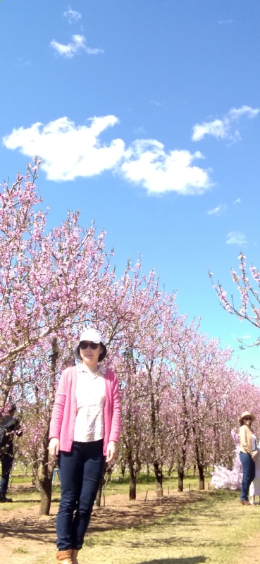 Grace的第二张照片--九江相亲服务中心