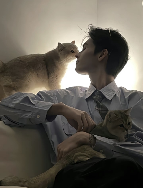 怪猫的第一张照片--九江相亲服务中心