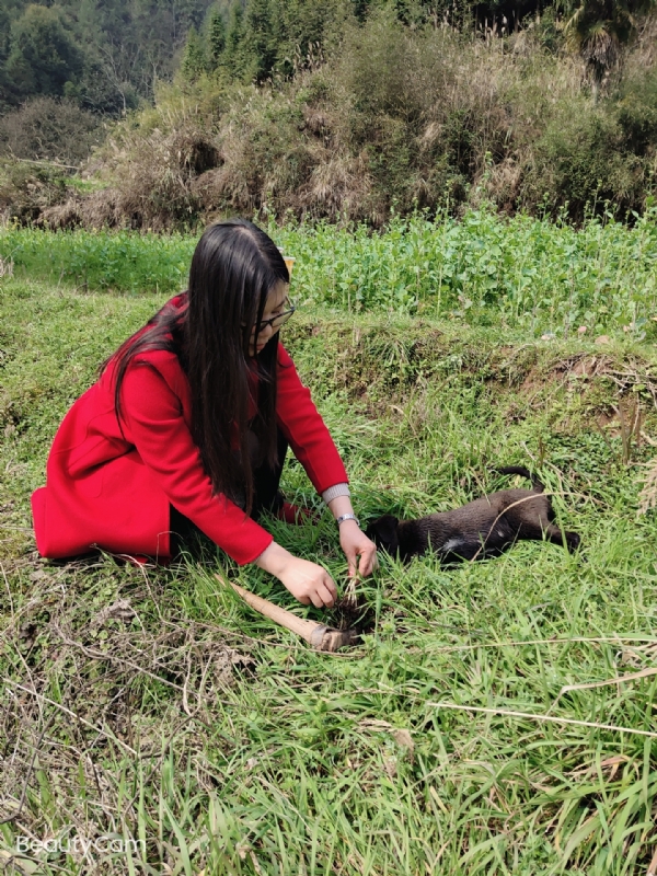 下一个春和秋的第一张照片--九江相亲服务中心