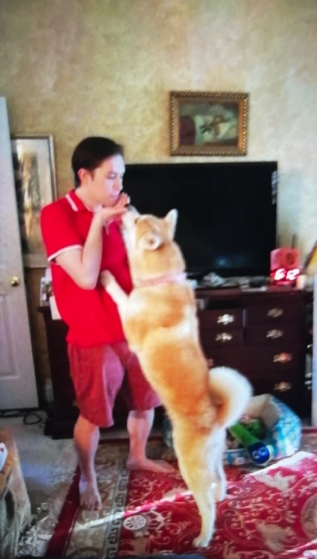 Leluch的第一张照片--九江相亲服务中心