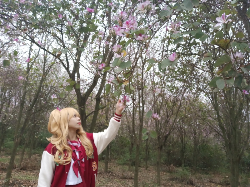 暮秋的第二张照片--九江相亲服务中心