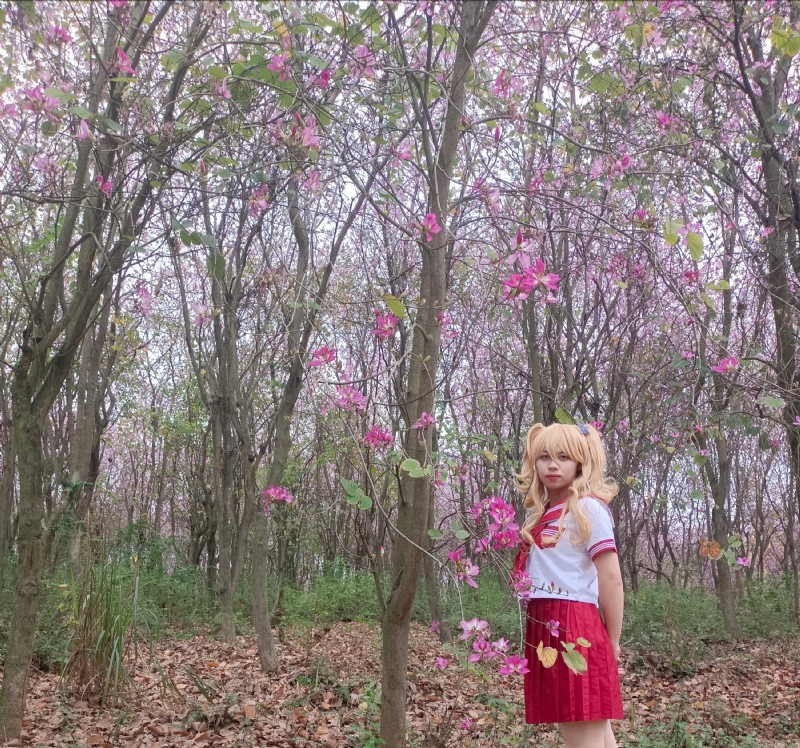 暮秋的第三张照片--九江相亲服务中心