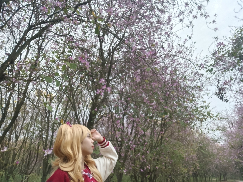 暮秋的第五张照片--九江相亲服务中心