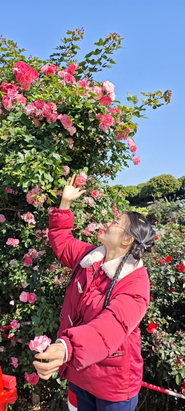 狗狗的第一张照片--九江相亲服务中心