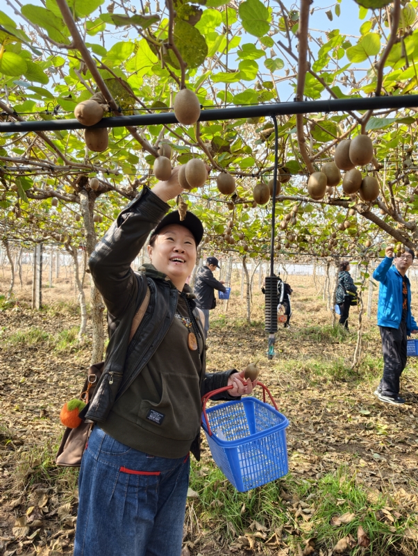 夜莺的第三张照片--九江相亲服务中心